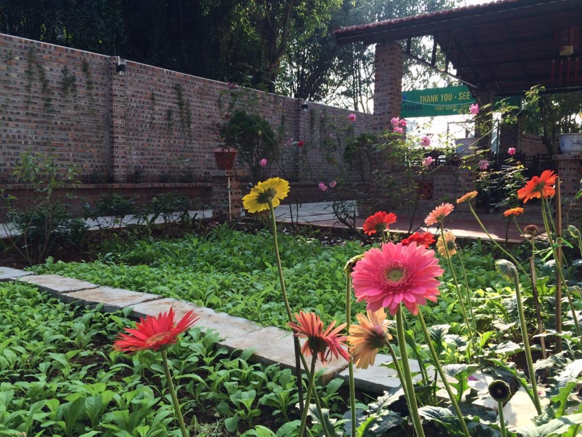 Tam Coc Craft Homestay 닌빈 객실 사진